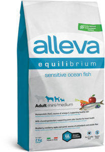 Equilibrium Sensitive Ocean Fish Mini/Medium